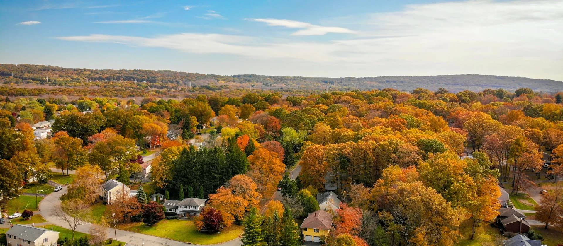 Aerial view of a leafy residential suburb